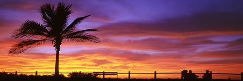 YANE 0005